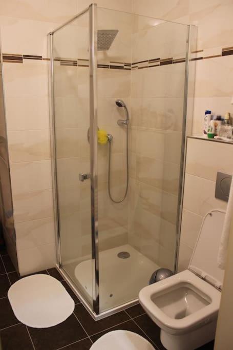 Vysehradska Apartmán Praha